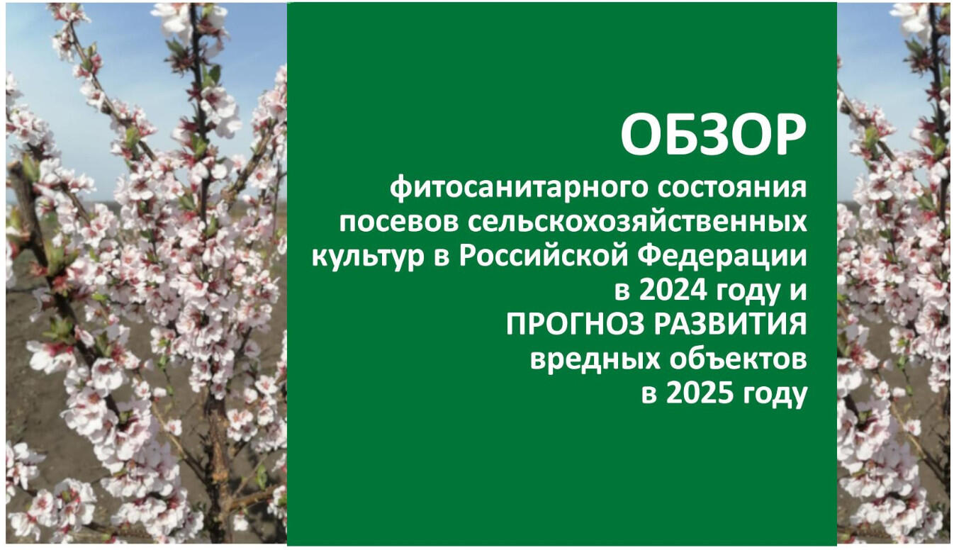 Фитосанитарный прогноз на 2025 год